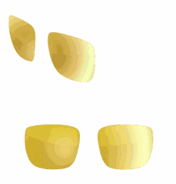 Custom Regulator -SUNGLASSES Store lens gold rush