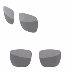 Custom Regulator -SUNGLASSES Store lens silver